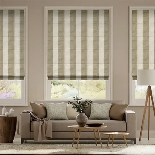 Living Room Blinds
