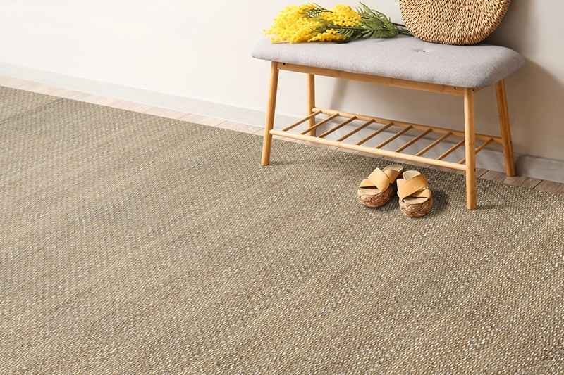 Sisal Carpet in living room