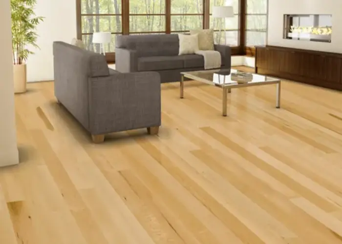 Vinyl Flooring