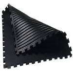 ( Gym Floor Interlocking Mat, 100 x 100cm, Black ) ZS-A